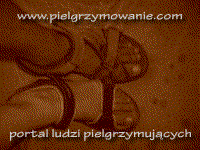 www.pielgrzymowanie.com - Portal pielgrzymujcych.